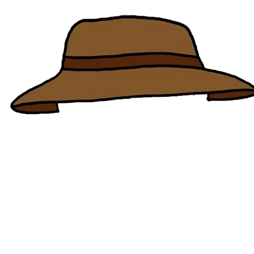 Hat 2